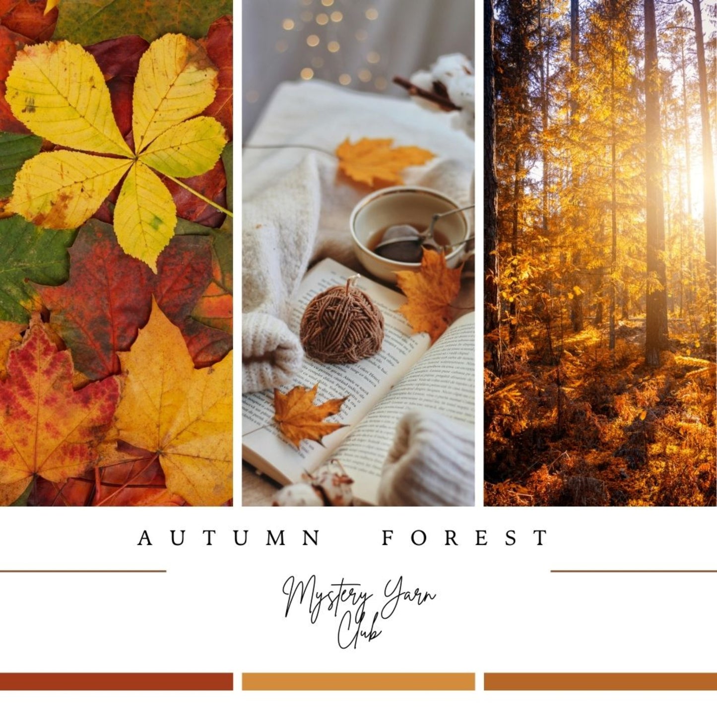 Mystery Autumn Forest Yarn Club - Trollfjord sock - Hand Dyed Sock Yarn