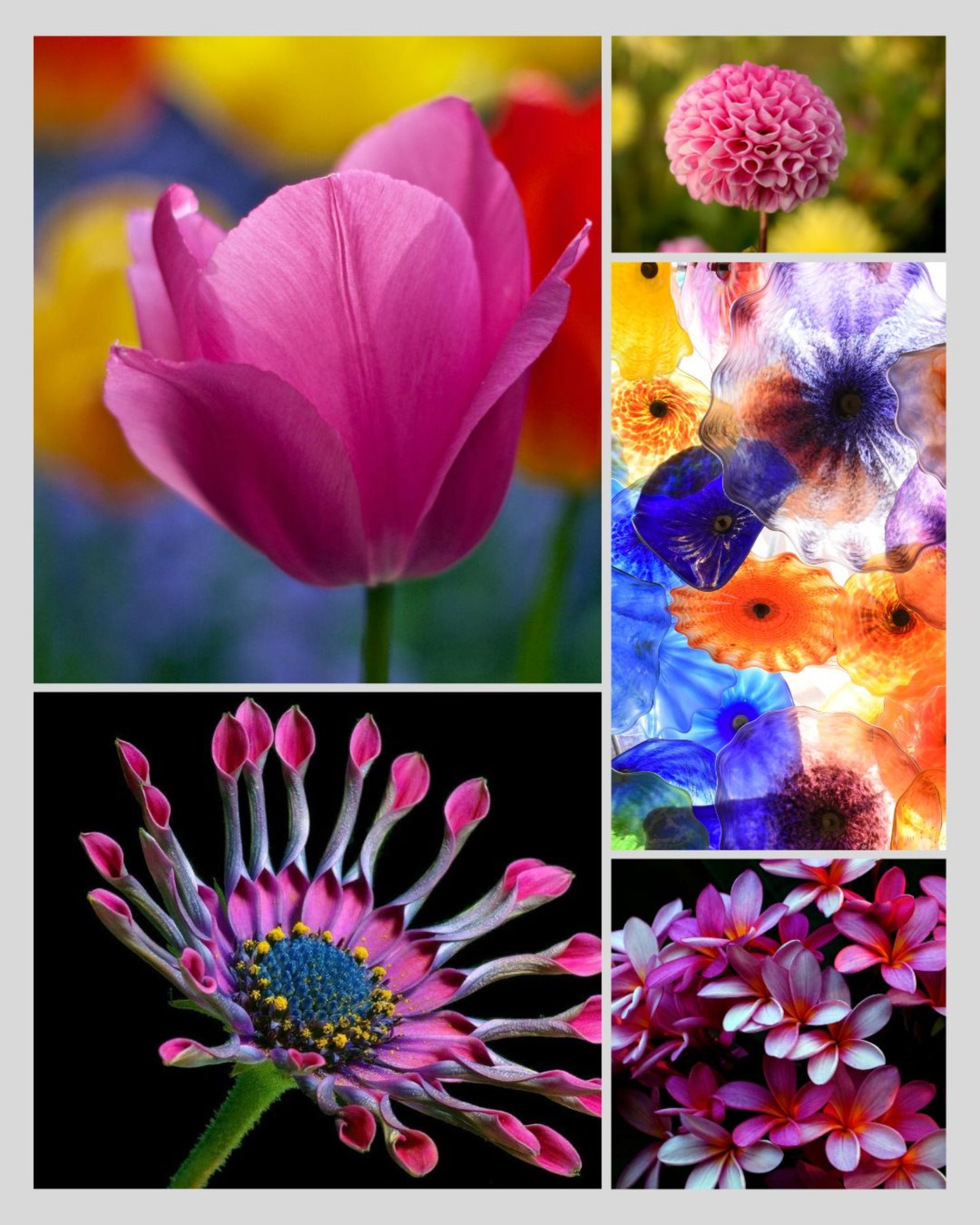 Flower Power Mystery Clubs - Hand dyed