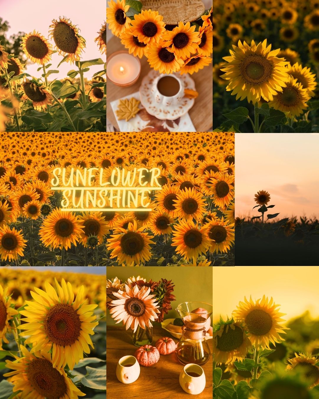 Sunflower Sunshine Mystery Clubs - Hand dyed